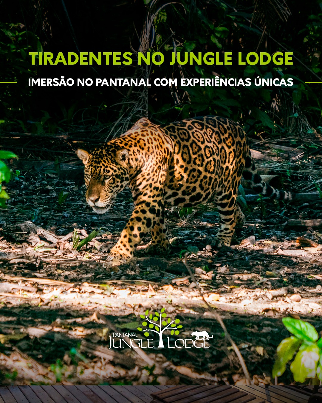 Feriado de Tiradentes no Pantanal